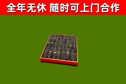 肥城市回收海参